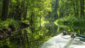 Rejs Mazury24 Omegą po Sapinie, sierpień 2024 r. - zdjęcie 17