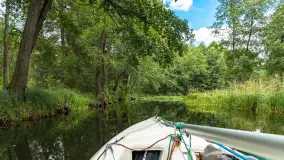 Rejs Mazury24 Omegą po Sapinie, sierpień 2024 r. - zdjęcie 36