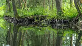 Rejs Mazury24 Omegą po Sapinie, sierpień 2024 r. - zdjęcie 27