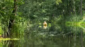 Rejs Mazury24 Omegą po Sapinie, sierpień 2024 r. - zdjęcie 24