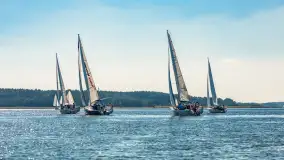 Fotorelacja z regat Święcajty Cup 2024 - zdjęcie 39