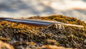 Sierpniony zachód nad jeziorem Dargin 2024 - zdjęcie 8