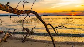 Sierpniony zachód nad jeziorem Dargin 2024 - zdjęcie 15