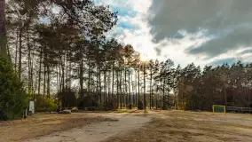 Puszcza Piska na początku września 2024 r. - zdjęcie 31