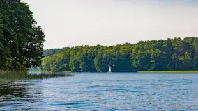 Puszcza Piska na początku września 2024 r. - zdjęcie 81