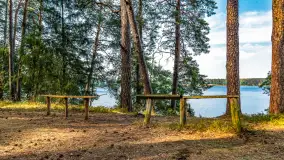 Puszcza Piska na początku września 2024 r. - zdjęcie 64