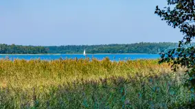 Puszcza Piska na początku września 2024 r. - zdjęcie 70