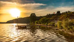 Puszcza Piska na początku września 2024 r. - zdjęcie 98