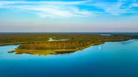 Puszcza Piska na początku września 2024 r. - zdjęcie 127