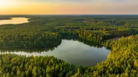 Puszcza Piska na początku września 2024 r. - zdjęcie 130