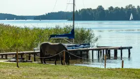 Koniki Polskie na bindudze Tarpan II, wrzesień 2024 r. - zdjęcie 4