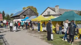 Fotorelacja z Mazurskiego Redyku w Sołdanach, październik 2024 - zdjęcie 13