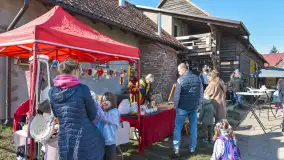 Fotorelacja z Mazurskiego Redyku w Sołdanach, październik 2024 - zdjęcie 30