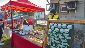 Fotorelacja z Mazurskiego Redyku w Sołdanach, październik 2024 - zdjęcie 51