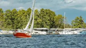 Fotorelacja z regat Robert's Cup, 27-28 września 2024 r. - zdjęcie 262