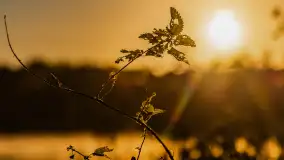 Wschód słońca nad jeziorem Iławki, październik 2024 r. - zdjęcie 14