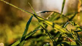 Wschód słońca nad jeziorem Iławki, październik 2024 r. - zdjęcie 8