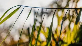 Wschód słońca nad jeziorem Iławki, październik 2024 r. - zdjęcie 30