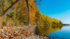 Jesień nad jeziorem Niegocin, październik 2024 r. - zdjęcie 26