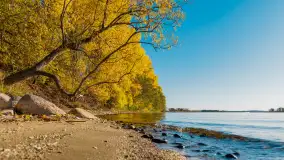 Jesień nad jeziorem Niegocin, październik 2024 r. - zdjęcie 22