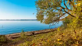 Jesień nad jeziorem Niegocin, październik 2024 r. - zdjęcie 20