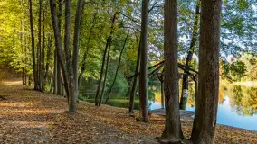 Jesień w Gizycku przy Boyen Water Park, październik 2024 r. - zdjęcie 14