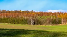 Kolory Mazur w drugiej połowie listopada, 2024 r. - zdjęcie 7