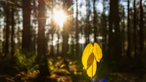 Kolory Mazur w drugiej połowie listopada, 2024 r. - zdjęcie 26