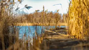 Kolory Mazur w drugiej połowie listopada, 2024 r. - zdjęcie 4