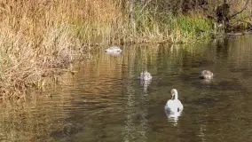 Krutynia na początku listopada 2024 - zdjęcie 26