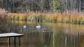 Krutynia na początku listopada 2024 - zdjęcie 5