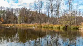 Krutynia na początku listopada 2024 - zdjęcie 25