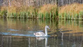 Krutynia na początku listopada 2024 - zdjęcie 2