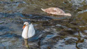 Krutynia na początku listopada 2024 - zdjęcie 17