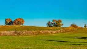 Podsumowanie mazurskiej, złotej jesieni 2024, cz. I - zdjęcie 24