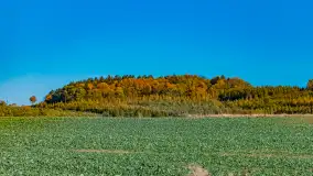 Podsumowanie mazurskiej, złotej jesieni 2024, cz. I - zdjęcie 32