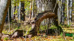 Podsumowanie mazurskiej, złotej jesieni 2024, cz. I - zdjęcie 21