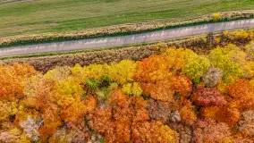 Podsumowanie mazurskiej, złotej jesieni 2024, cz. I - zdjęcie 53