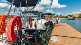 Tło dla Mew, sezon 2024 r. - zdjęcie 6