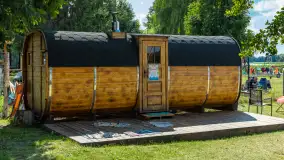 Tło dla Mew, sezon 2024 r. - zdjęcie 14