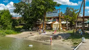 Tło dla Mew, sezon 2024 r. - zdjęcie 1