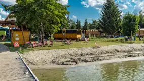 Tło dla Mew, sezon 2024 r. - zdjęcie 23