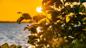 Sierpniowy zachód słońca, jezioro Kisajno i mazurska przyroda - zdjęcie 12