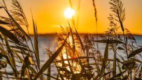 Sierpniowy zachód słońca, jezioro Kisajno i mazurska przyroda - zdjęcie 19