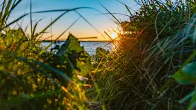 Sierpniowy zachód słońca, jezioro Kisajno i mazurska przyroda - zdjęcie 13