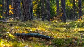 Podsumowanie mazurskiej, złotej jesieni 2024, cz. II - zdjęcie 45