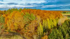 Podsumowanie mazurskiej, złotej jesieni 2024, cz. II - zdjęcie 27