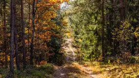 Podsumowanie mazurskiej, złotej jesieni 2024, cz. III - zdjęcie 16