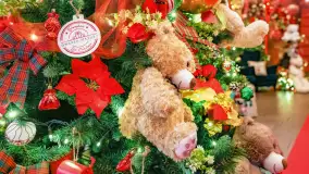 Przystań Świętego Mikołaja w Gwarku – Mazury Zimą Pełne Magii - zdjęcie 27