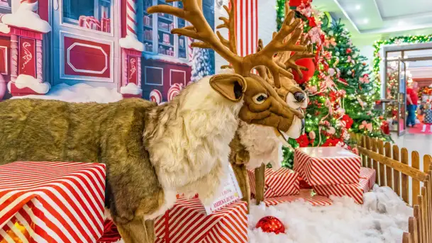 Przystań Świętego Mikołaja w Gwarku – Mazury Zimą Pełne Magii - zdjęcie 7